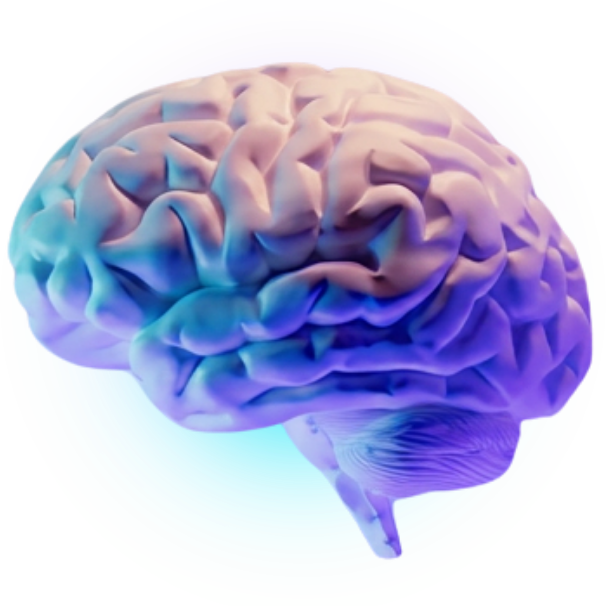 YouBrain Cerebro 3D